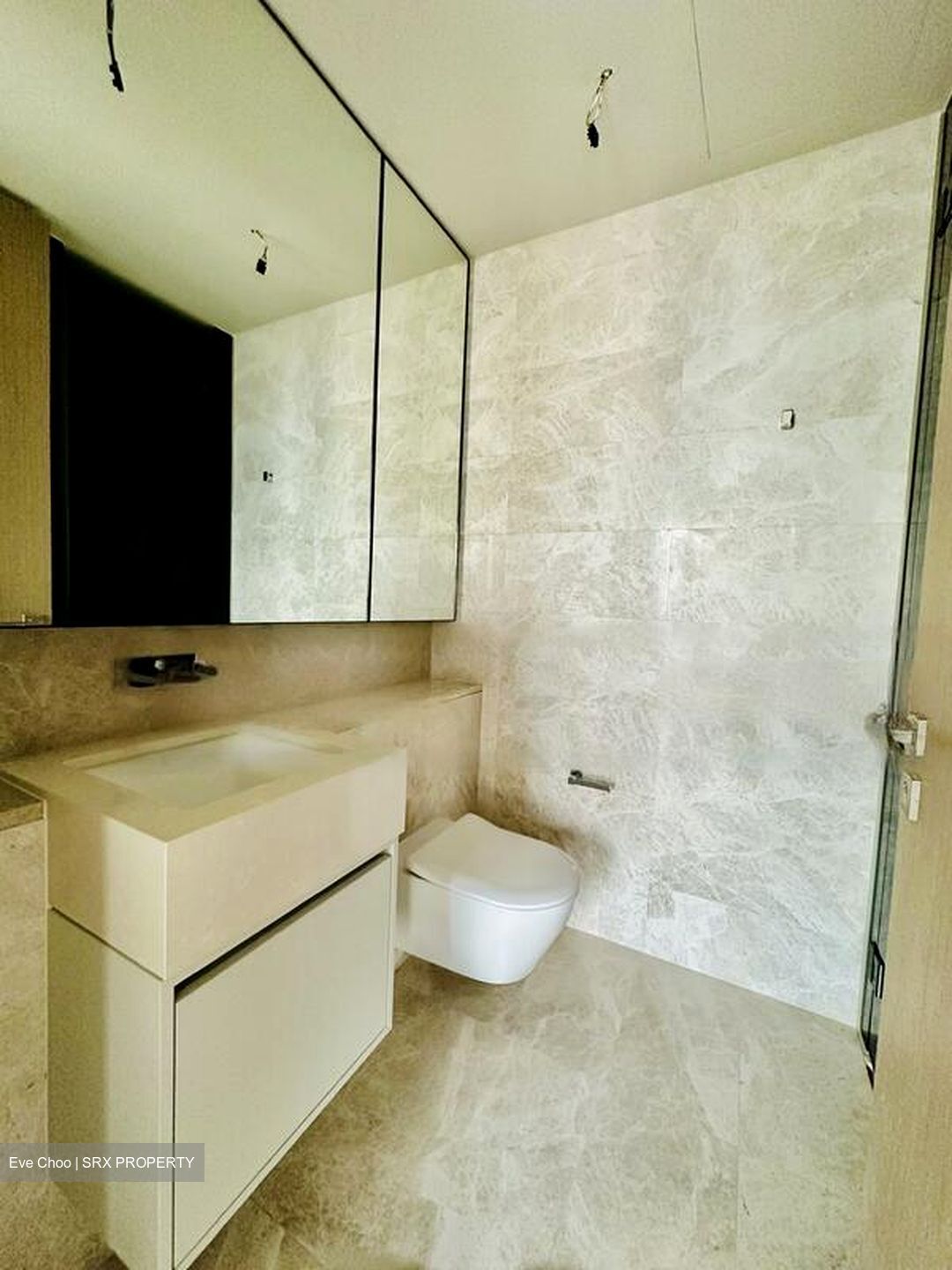 Amber Park (D15), Condominium #550328991
